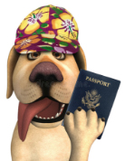 С собакой в отпуск за границу? Это реально!