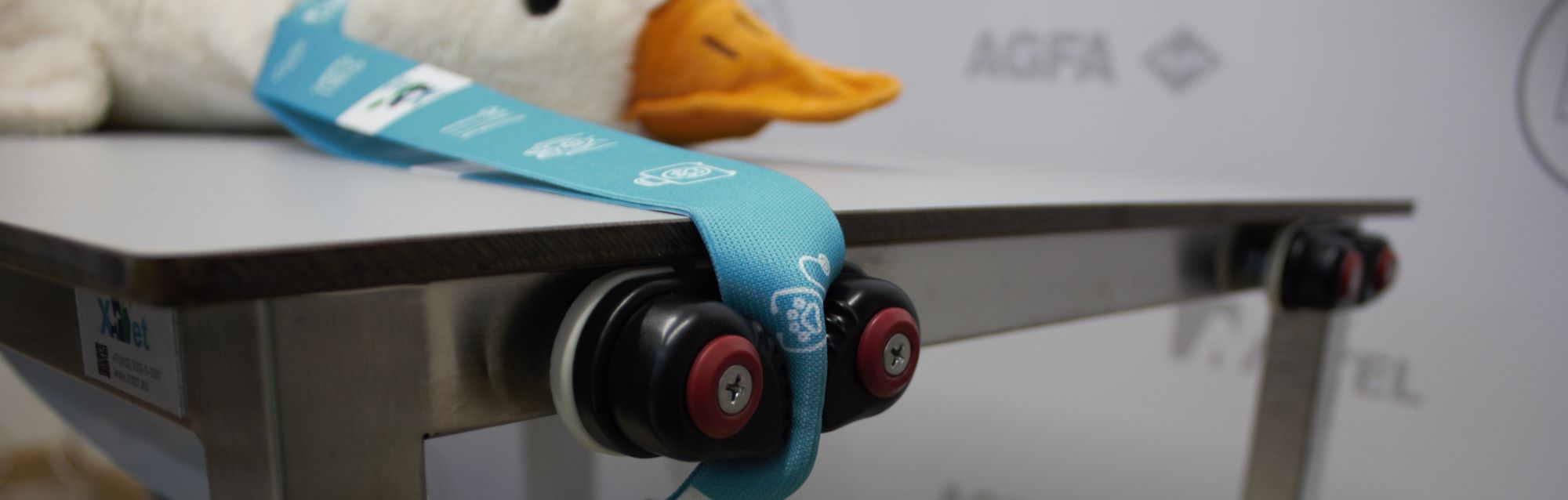 Стол рентгенопрозрачный xVet Премиум 