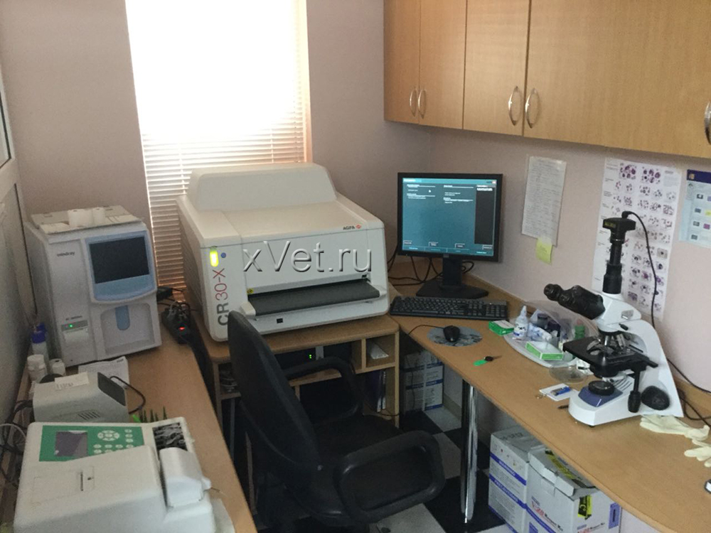Ветеринарная клиника в г. Белореченск.
