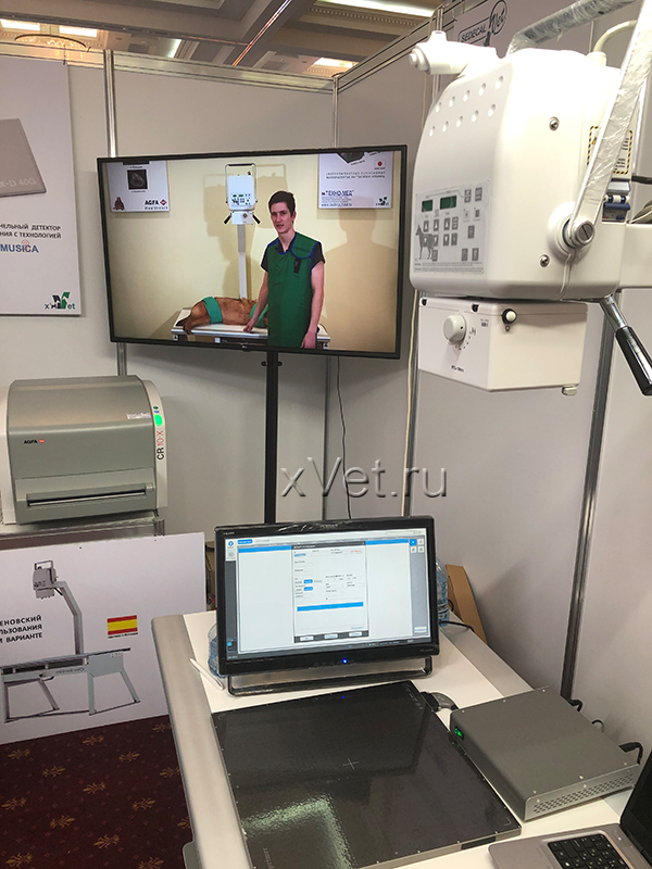 Национальная ветеринарная конференция (NVC2019)